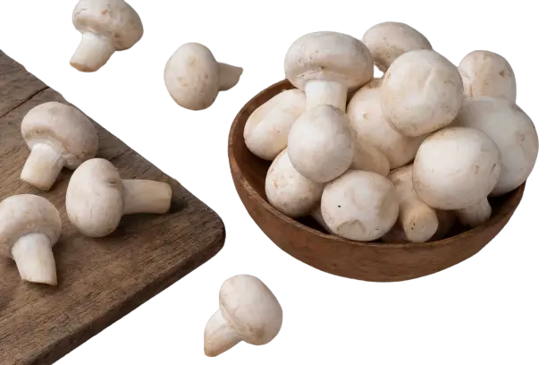 Top Health Benefits of Mushroom