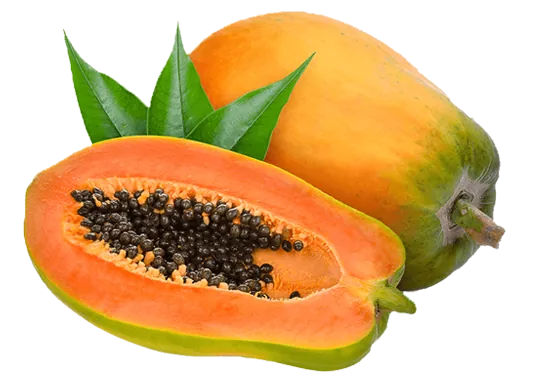 Papaya Fruit Benefits for Skin