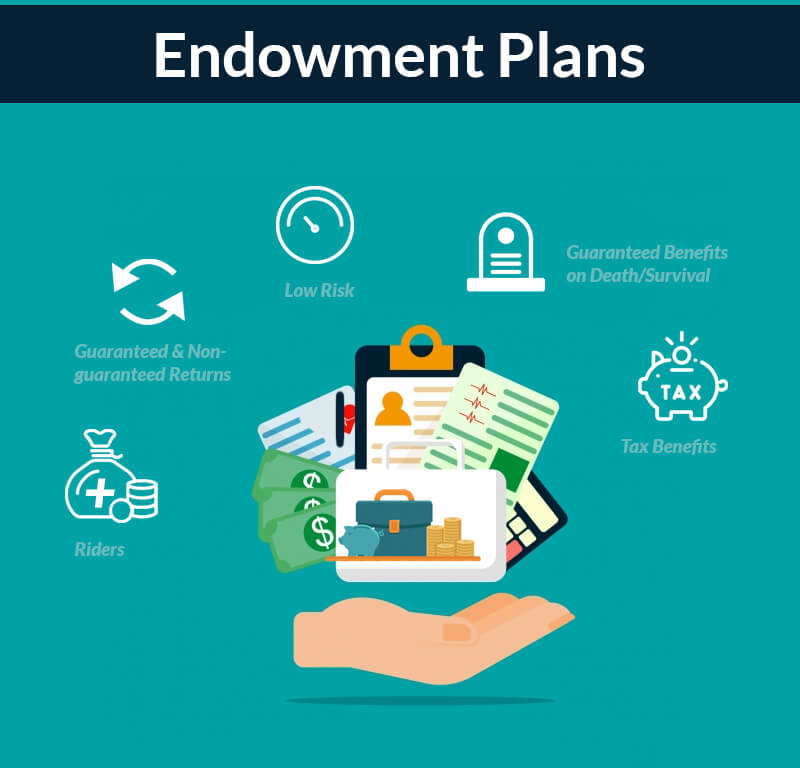 what-is-an-endowment-life-insurance-plan-policyx-com