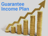 Guaranteed Income Plan