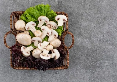 Top Health Benefits Of Mushroom