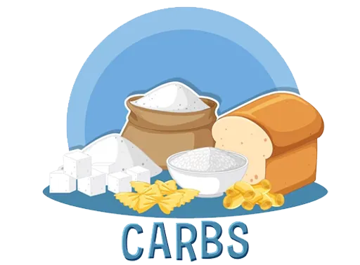 Food Rich In Carbohydrates