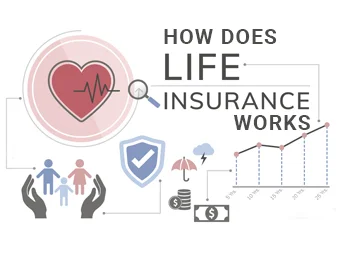 जीवन बीमा कैसे काम करता है?