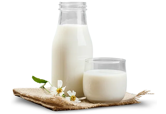 दूध पीने के स्वास्थ्य को लेकर फायदे