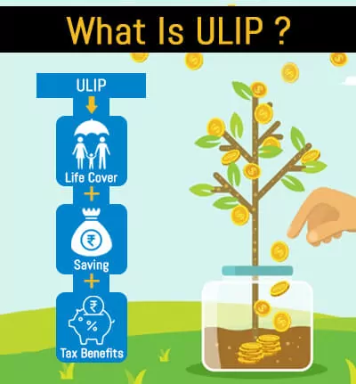 What is ULIP?
